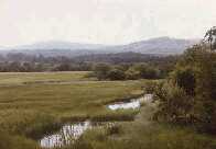 fen